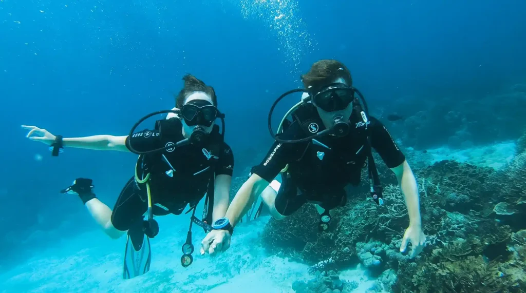 Diving in Komodo for Beginners: Everything You Need to Know