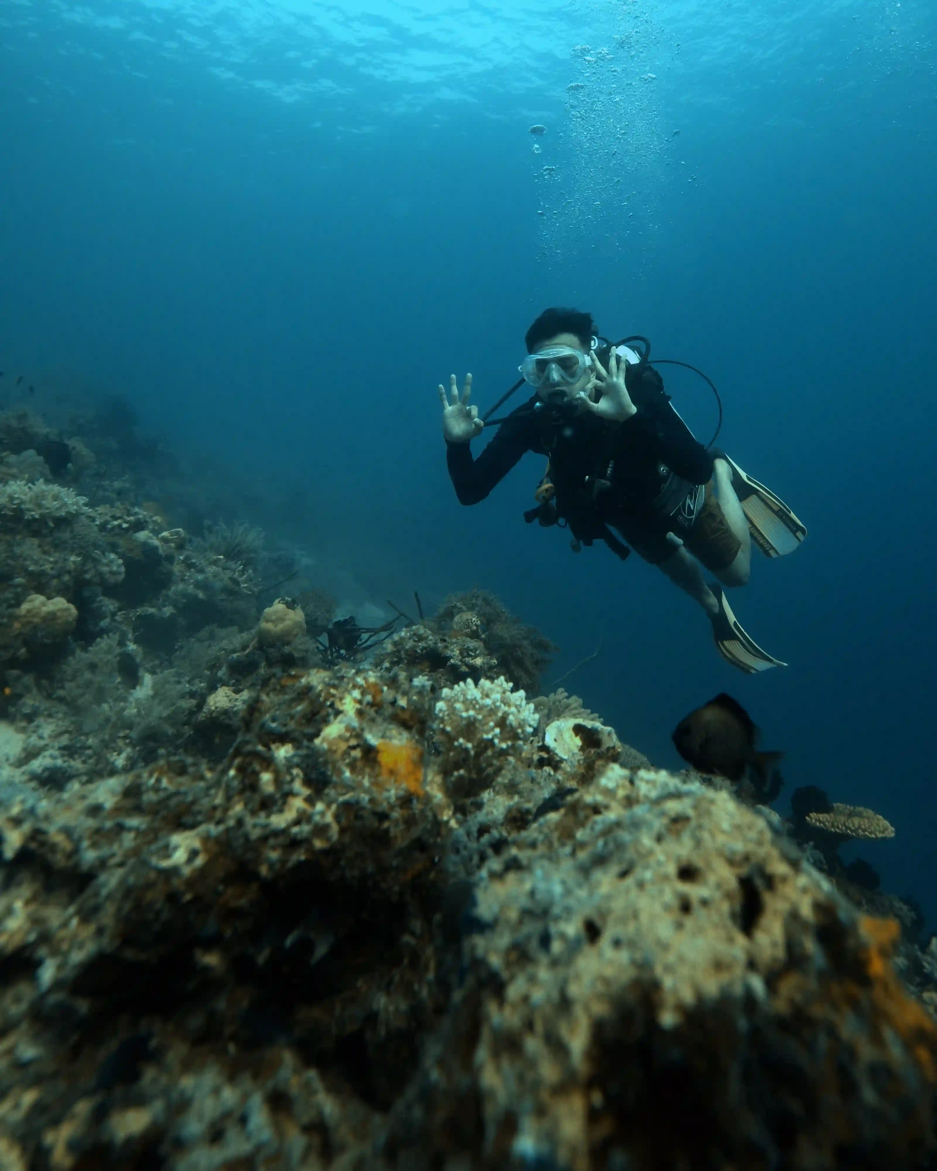 Diver giving an OK sign near a coral reef in Komodo National Park