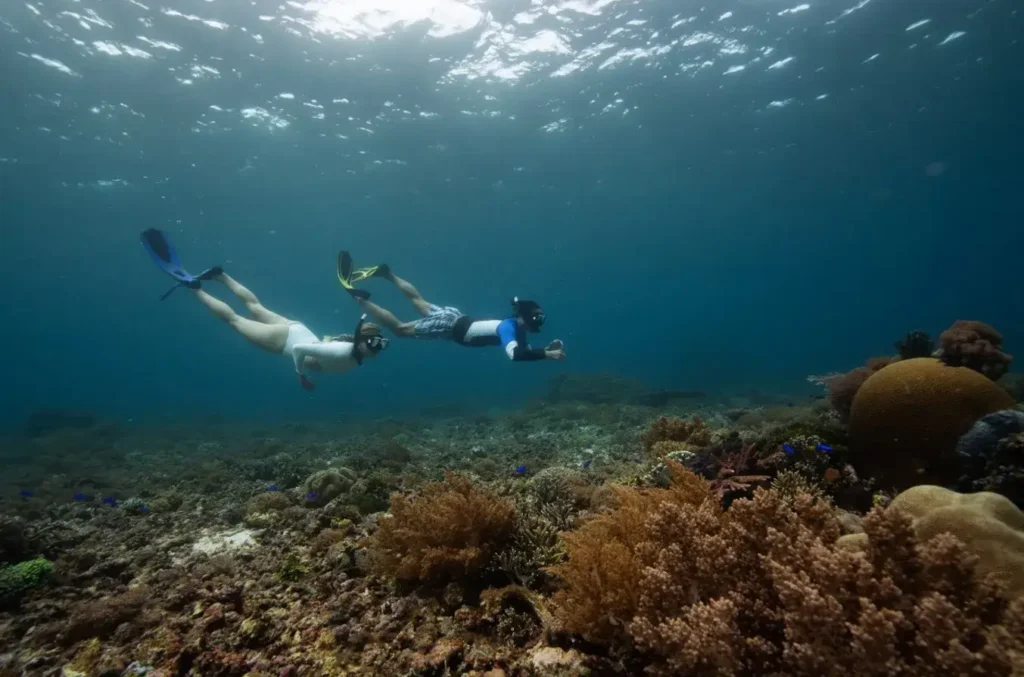 Best Night Dive Sites in Komodo Beyond Gili Banta