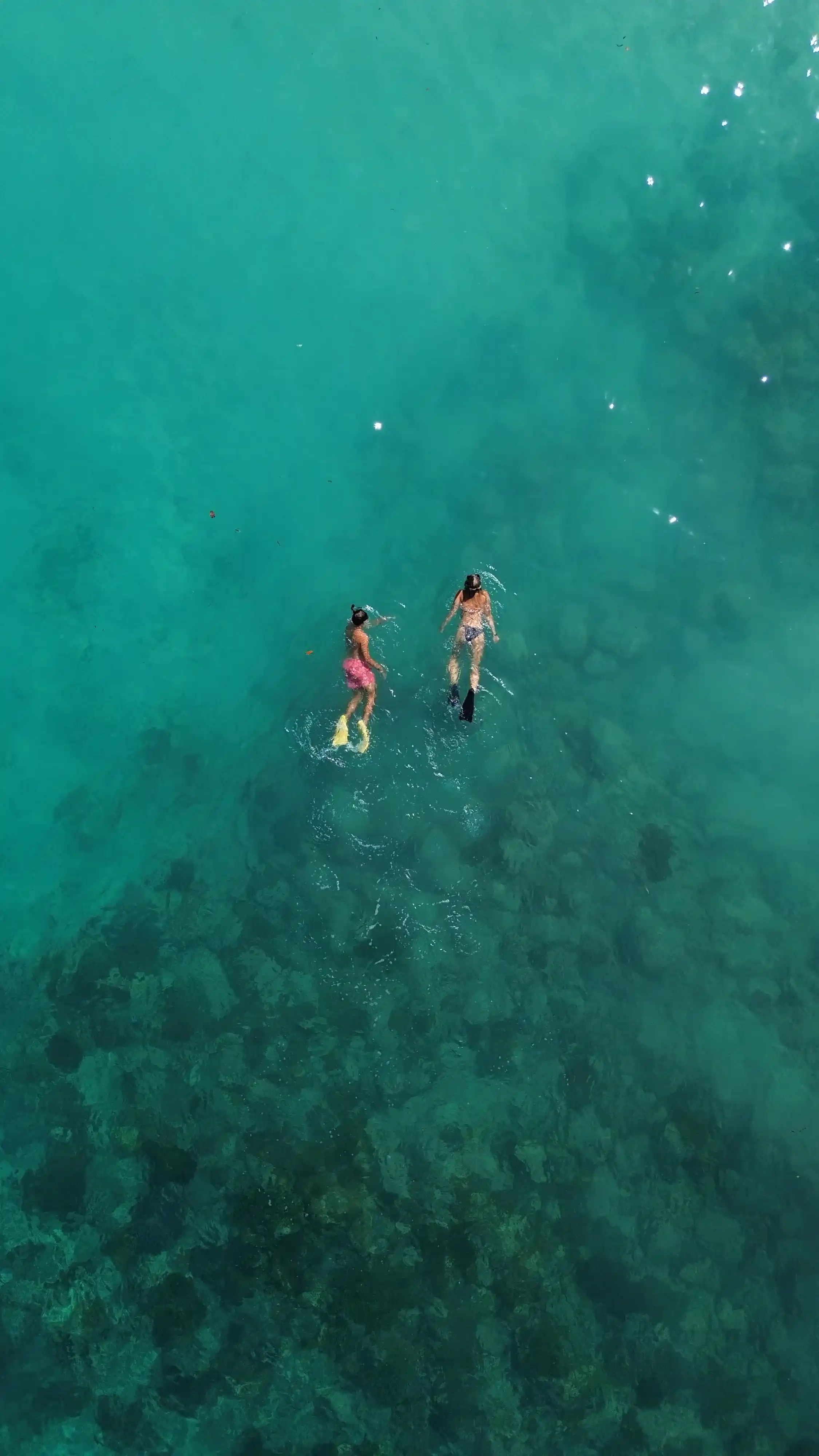 Diver near coral reef and fish close to Pink Beach