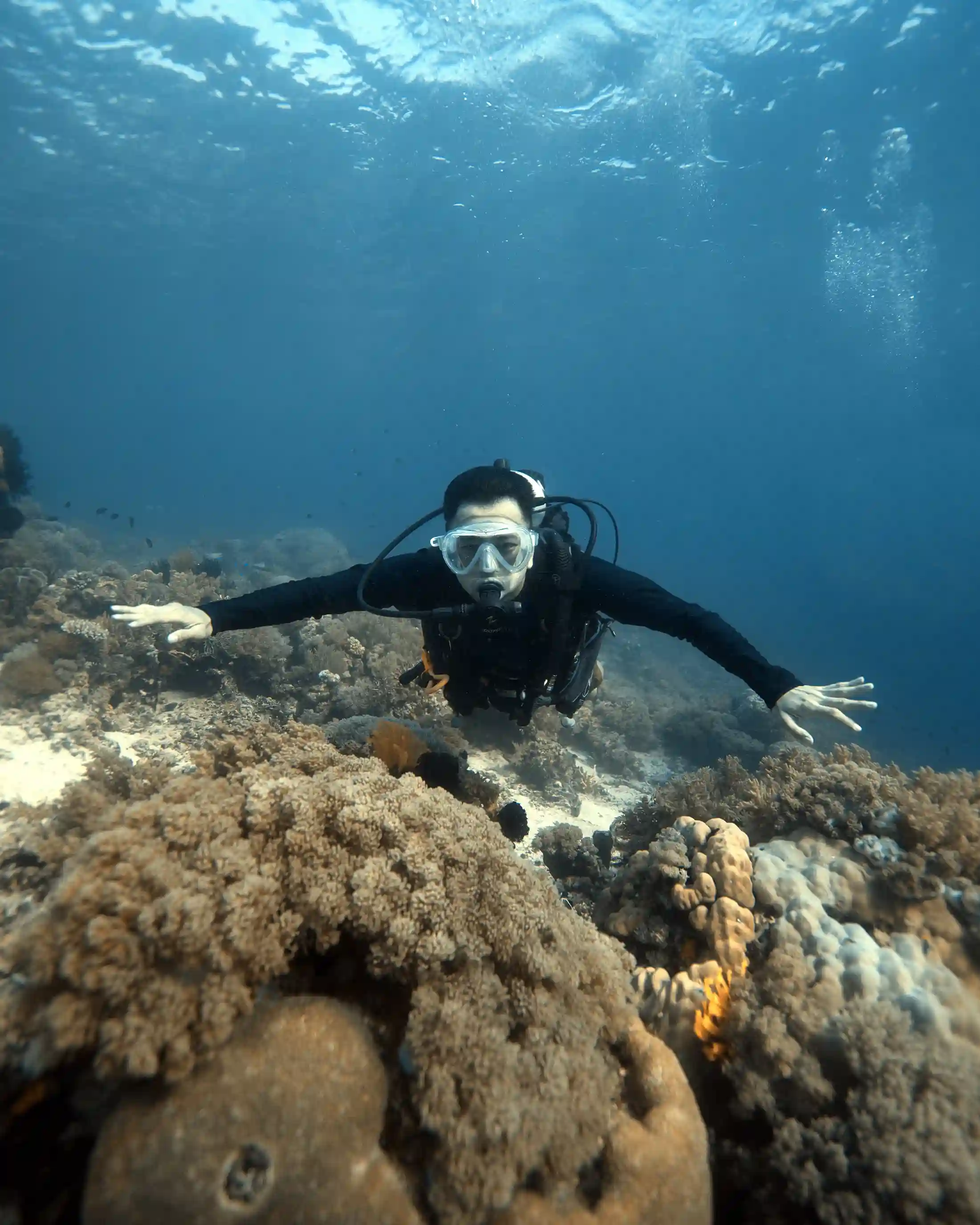Diver at Tatawa Besar, an easy site suitable for all experience levels