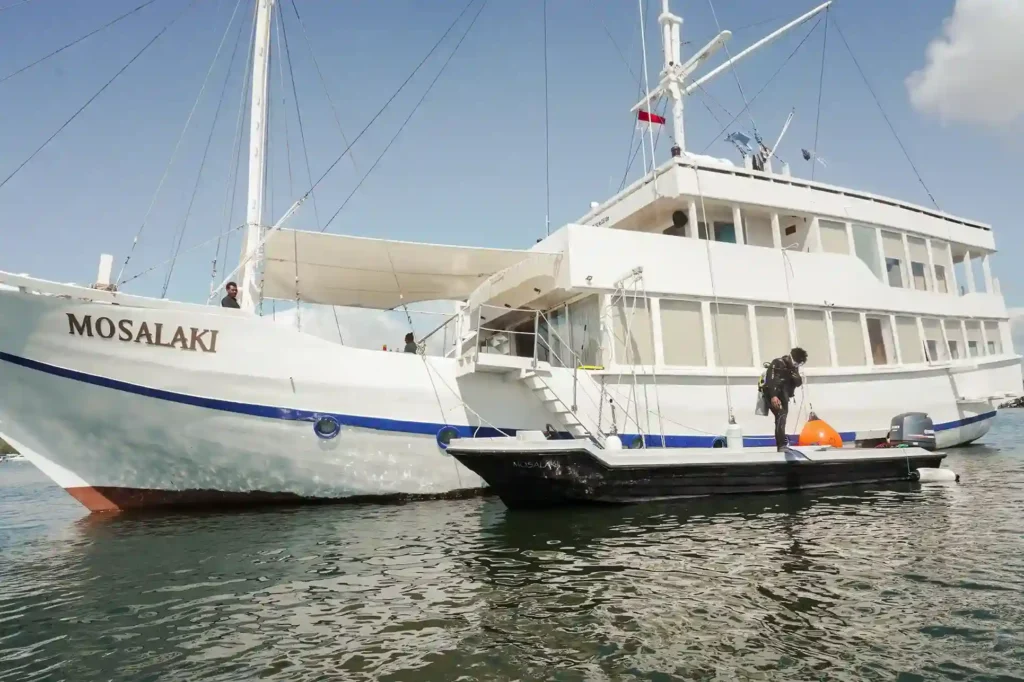 Discover Scuba & Non-Certified Diver Add-Ons in Komodo