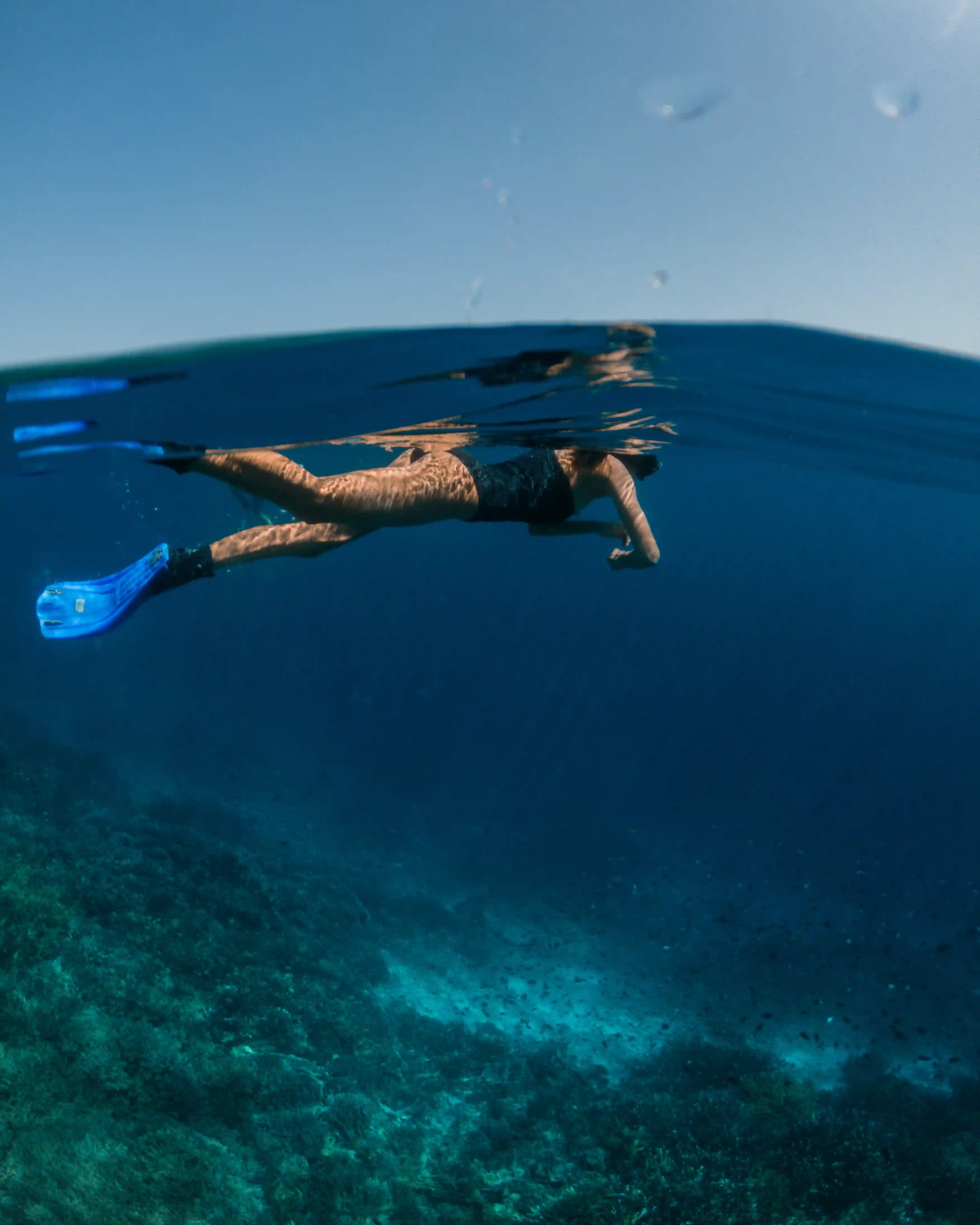 Divers over a coral reef in Komodo National Park