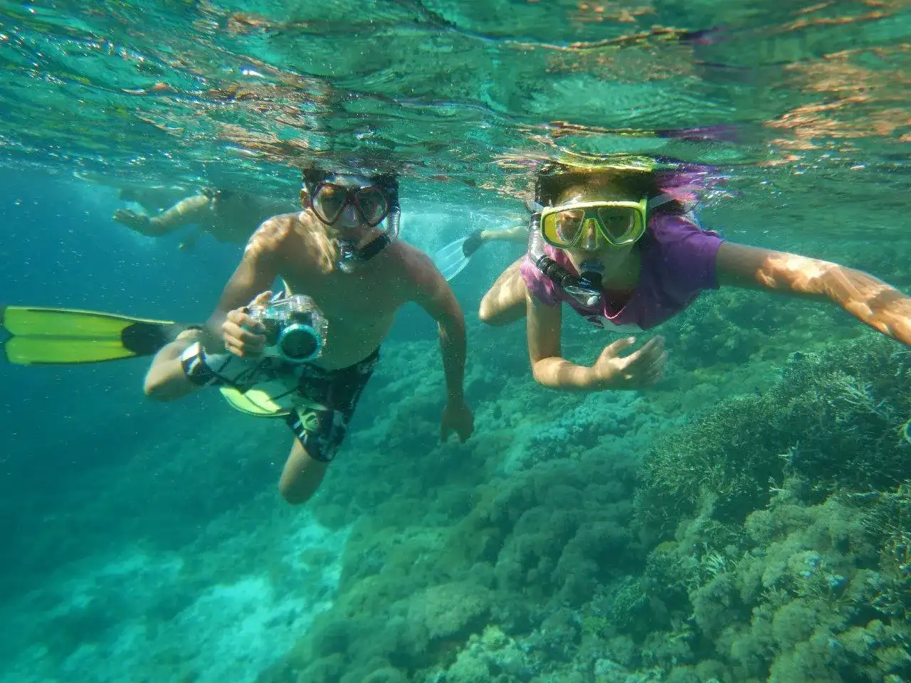 Diver near coral reef and fish in the Komodo archipelago