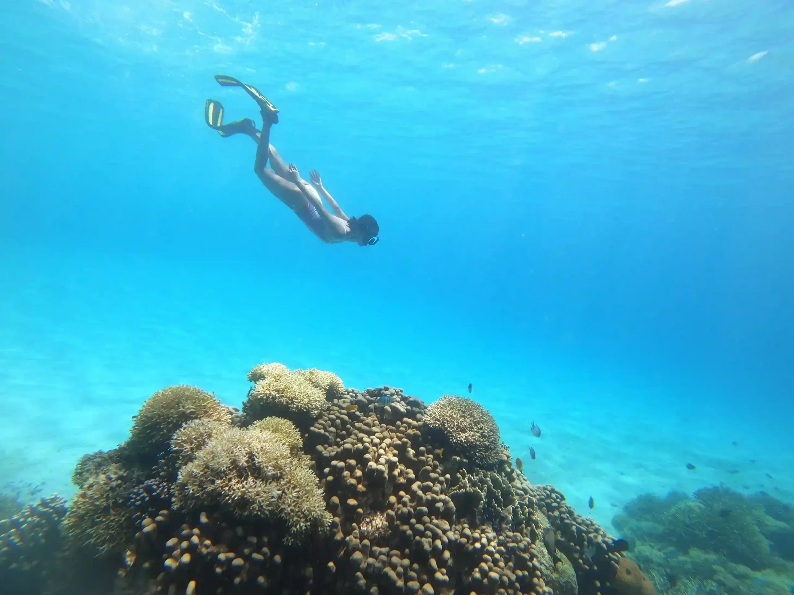 Snorkeler over a shallow coral reef in the Komodo archipelago