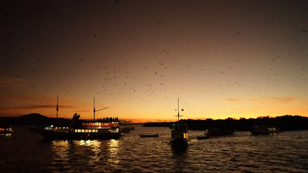 Kalong Island at Dusk: The Bat Colony Flight