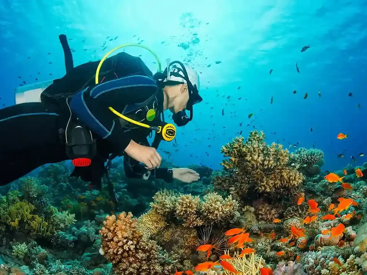 Divers drifting through the Golden Passage current-cut channel