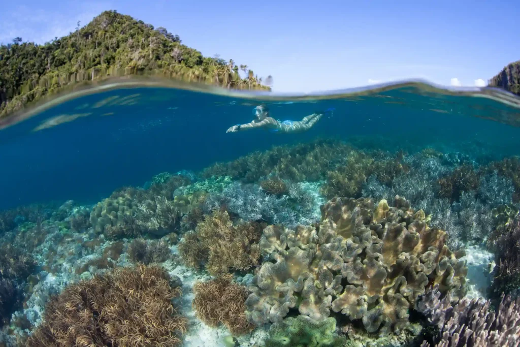 Two scuba divers exploring the coral reef at Sebayur, Komodo National Park