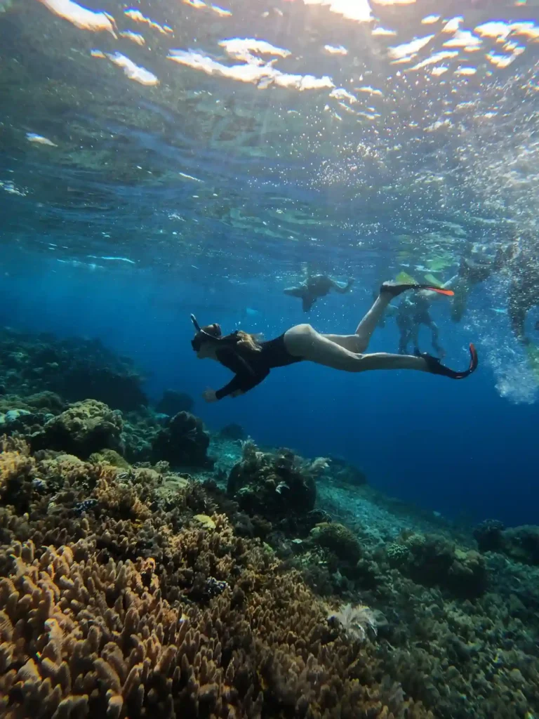 Komodo vs Raja Ampat: A Diver’s Comparison