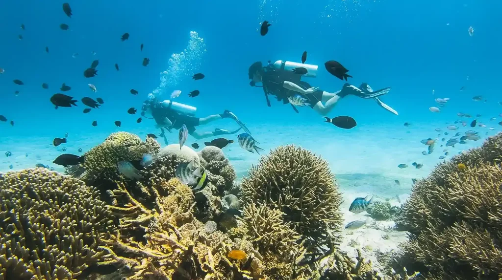 Emergency Evacuation & Hyperbaric Chamber Access in Komodo Diving (2027)