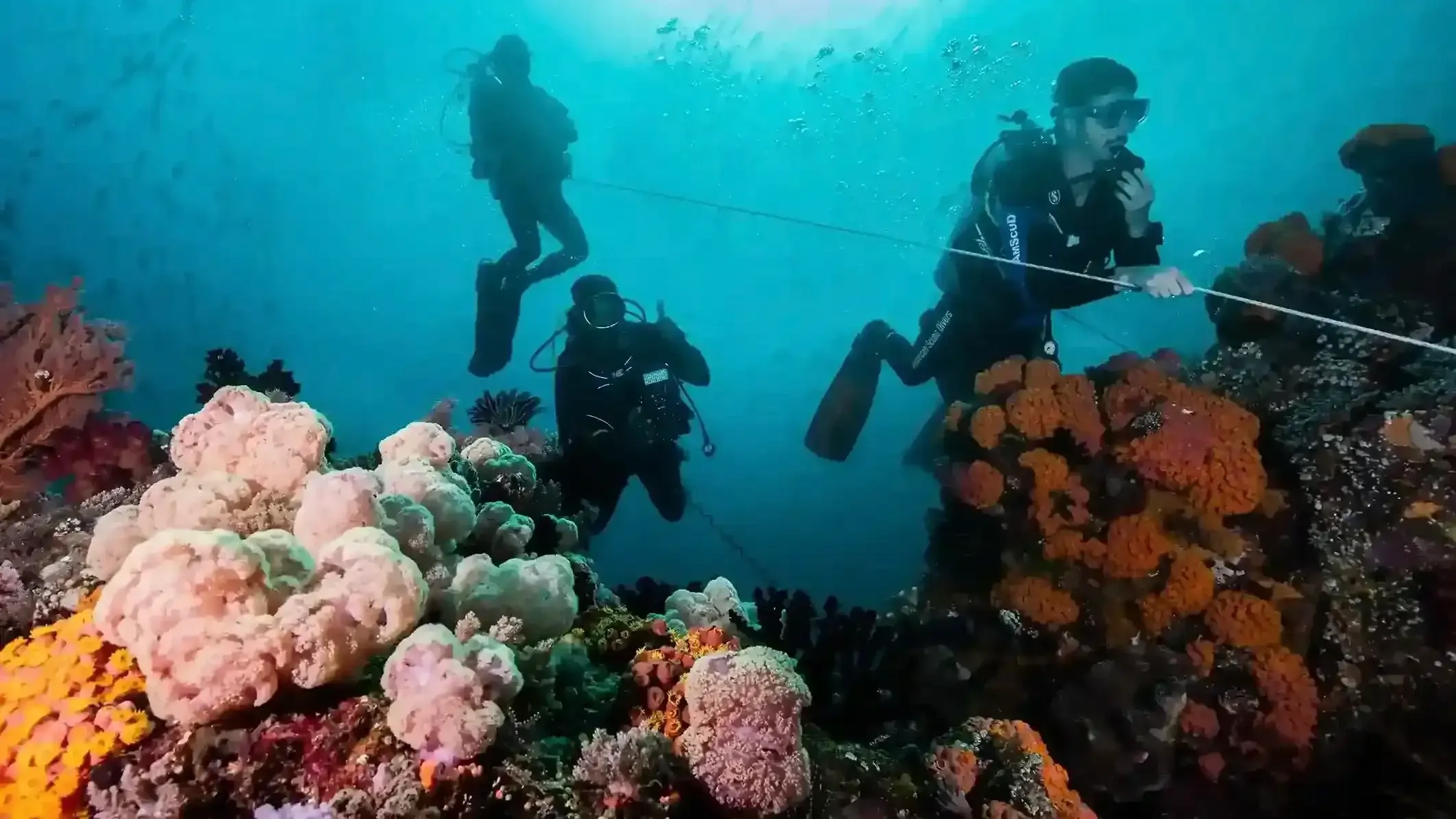 Liveaboard Diving in Komodo: Dives Per Day, Currents & What to Expect