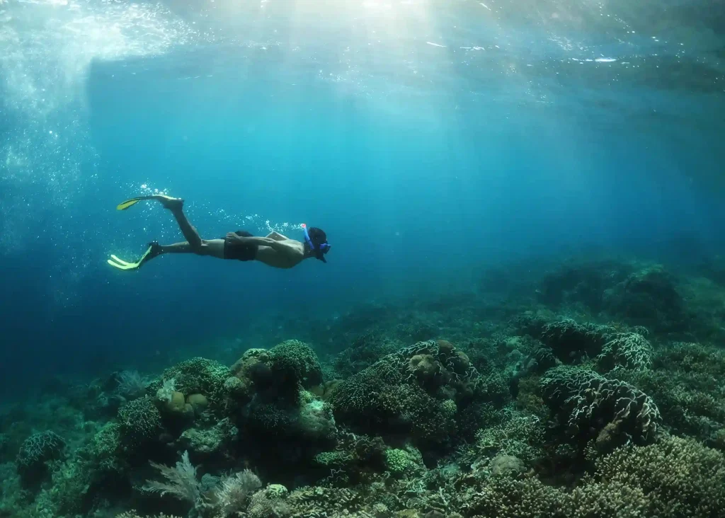Komodo Liveaboard for Snorkelers and Non-Divers: What to Expect