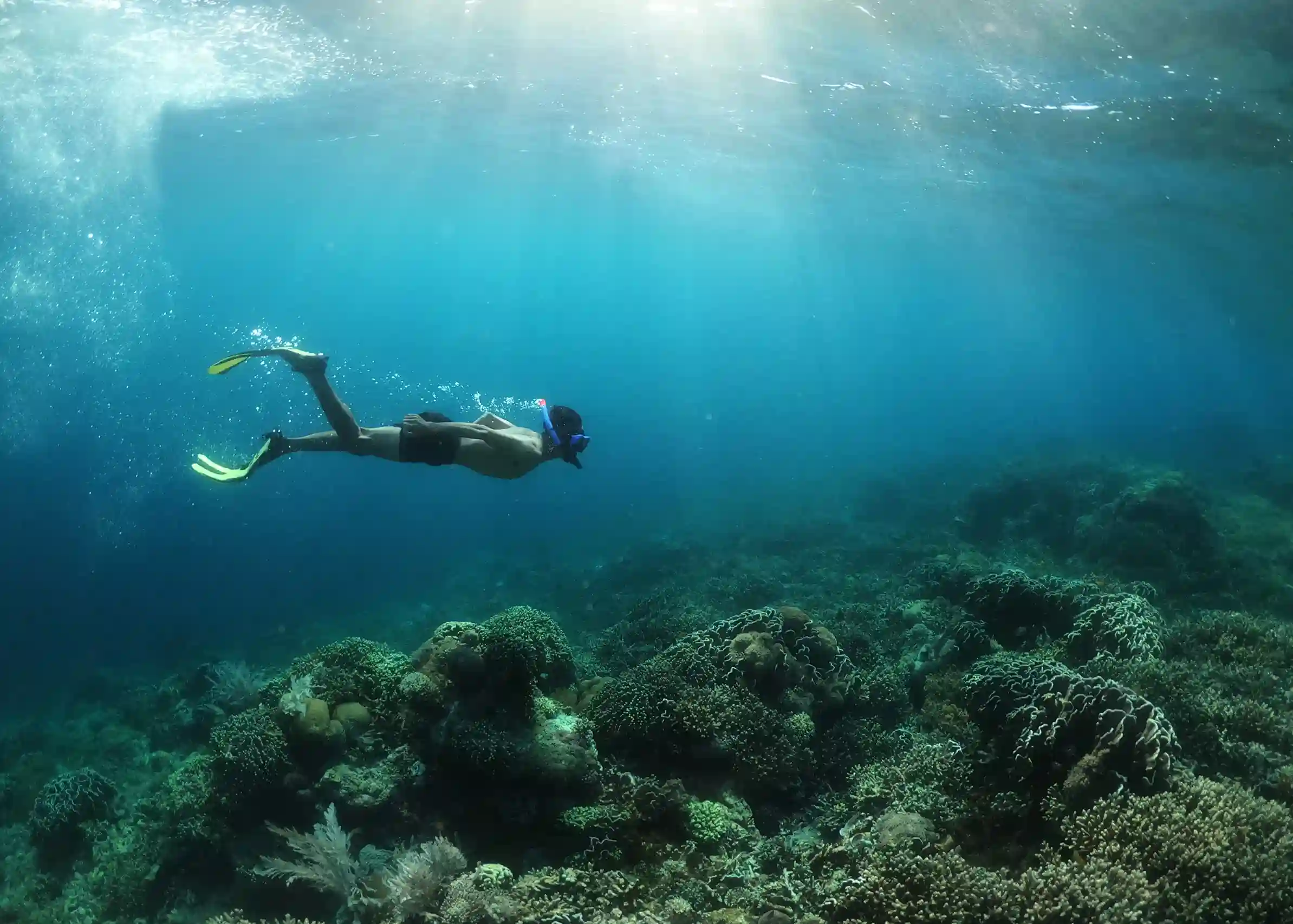 Komodo Liveaboard for Snorkelers and Non-Divers: What to Expect